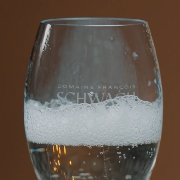 Bulles de Fête Schwach: à partager sans modération