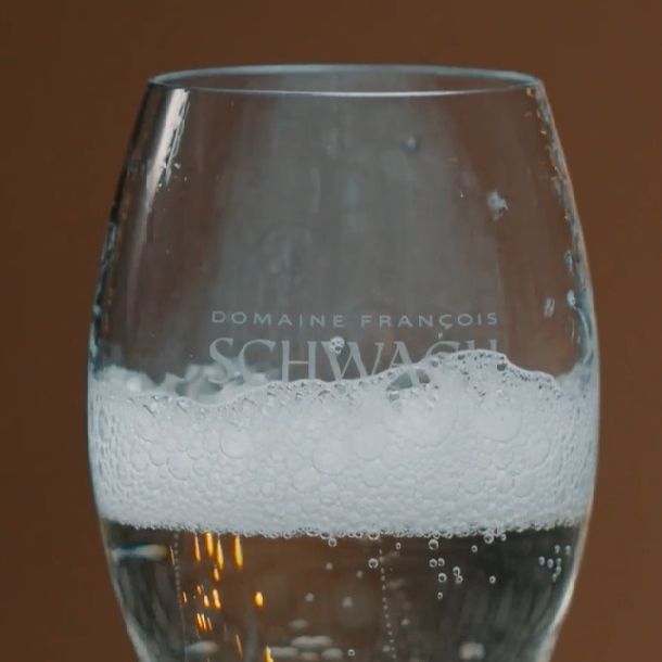 Bulles de Fête Schwach: à partager sans modération