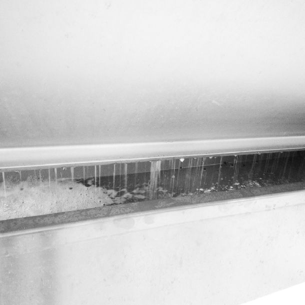 les grappes de raisin sont pressées dans le pressoir pneumatique