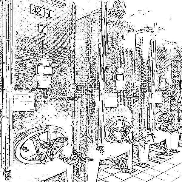 le moût se transforme en vin par l'action des levures: c'est la fermentation alcoolique